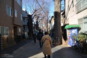 20180111124032_NIKON D7100.jpg